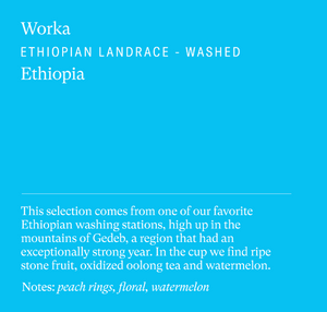 
                  
                    Sey Coffee • Worka, Ethiopia
                  
                