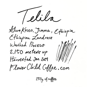 
                  
                    Flower Child Coffee - Ethiopia, Telila
                  
                